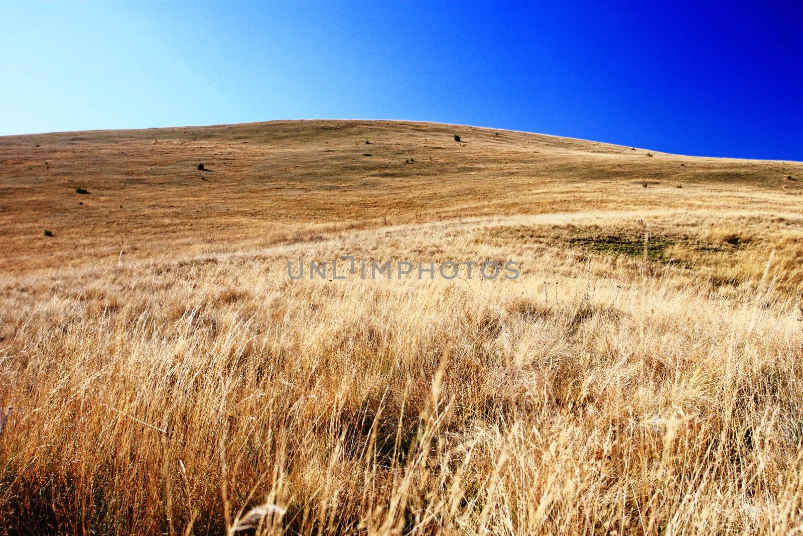 Landscape from the Mavrovo Region in Macedonia