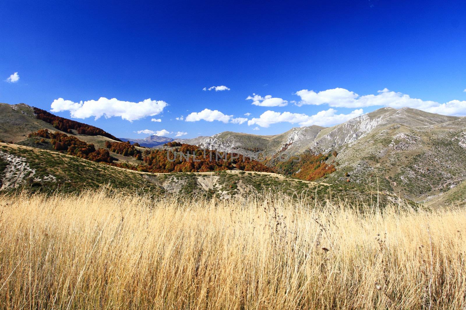 Landscape from the Mavrovo Region in Macedonia