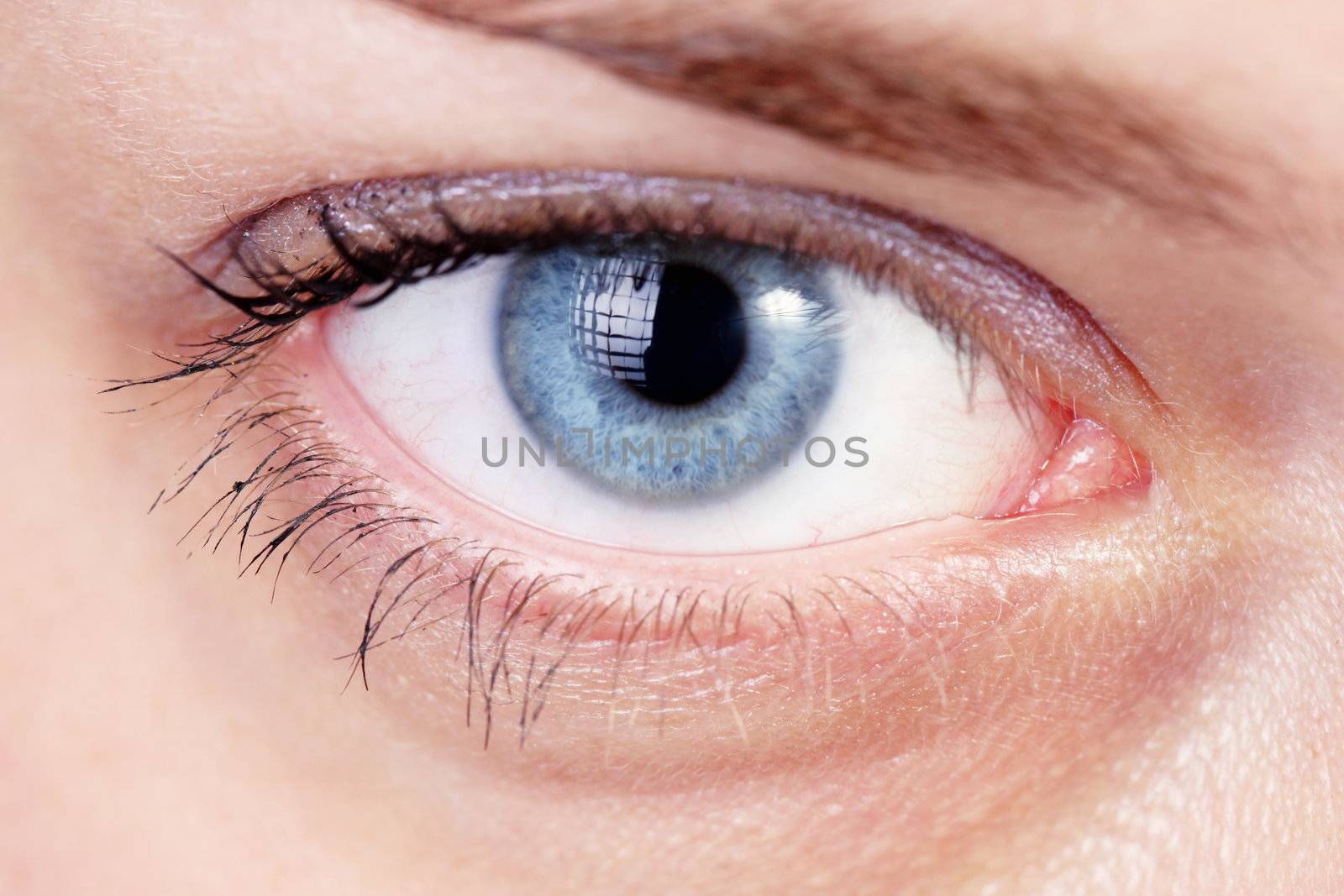 beautiful blue eye, close up stock photo