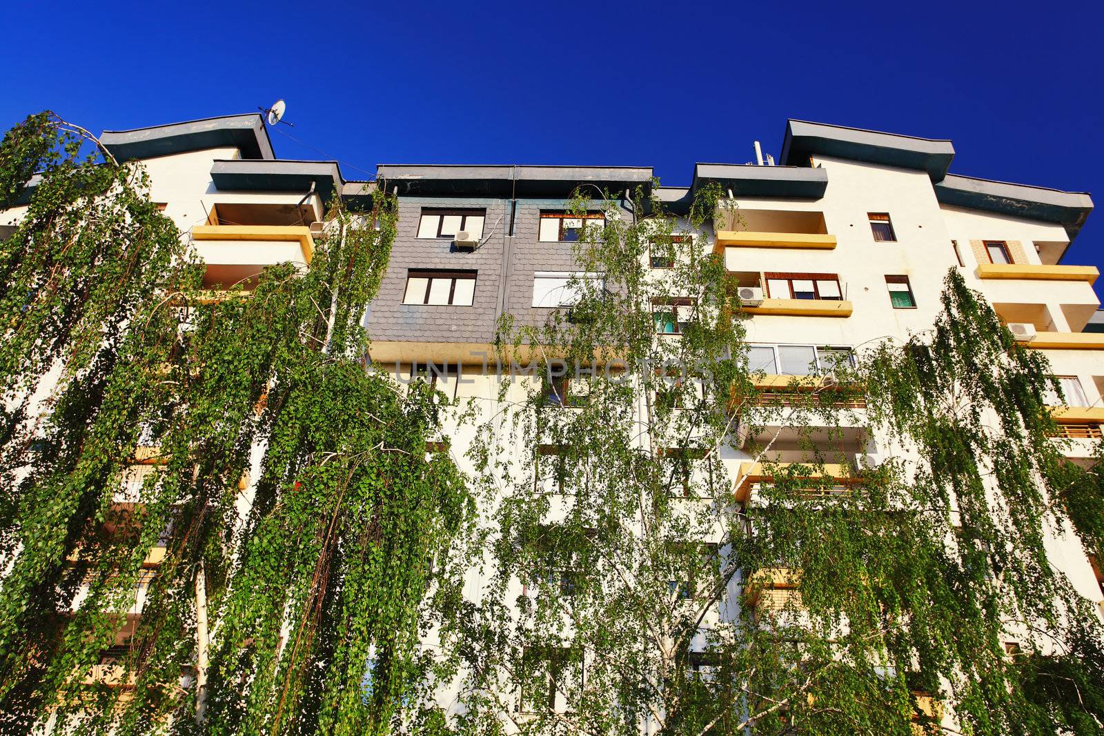 apartment complex with trees infront and blue sky