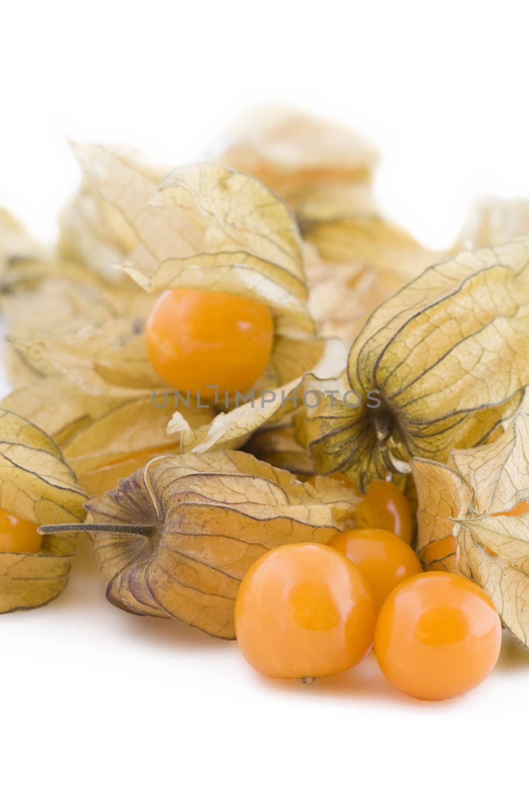 Fresh small physalis isolated on white background, jam-berry fruits