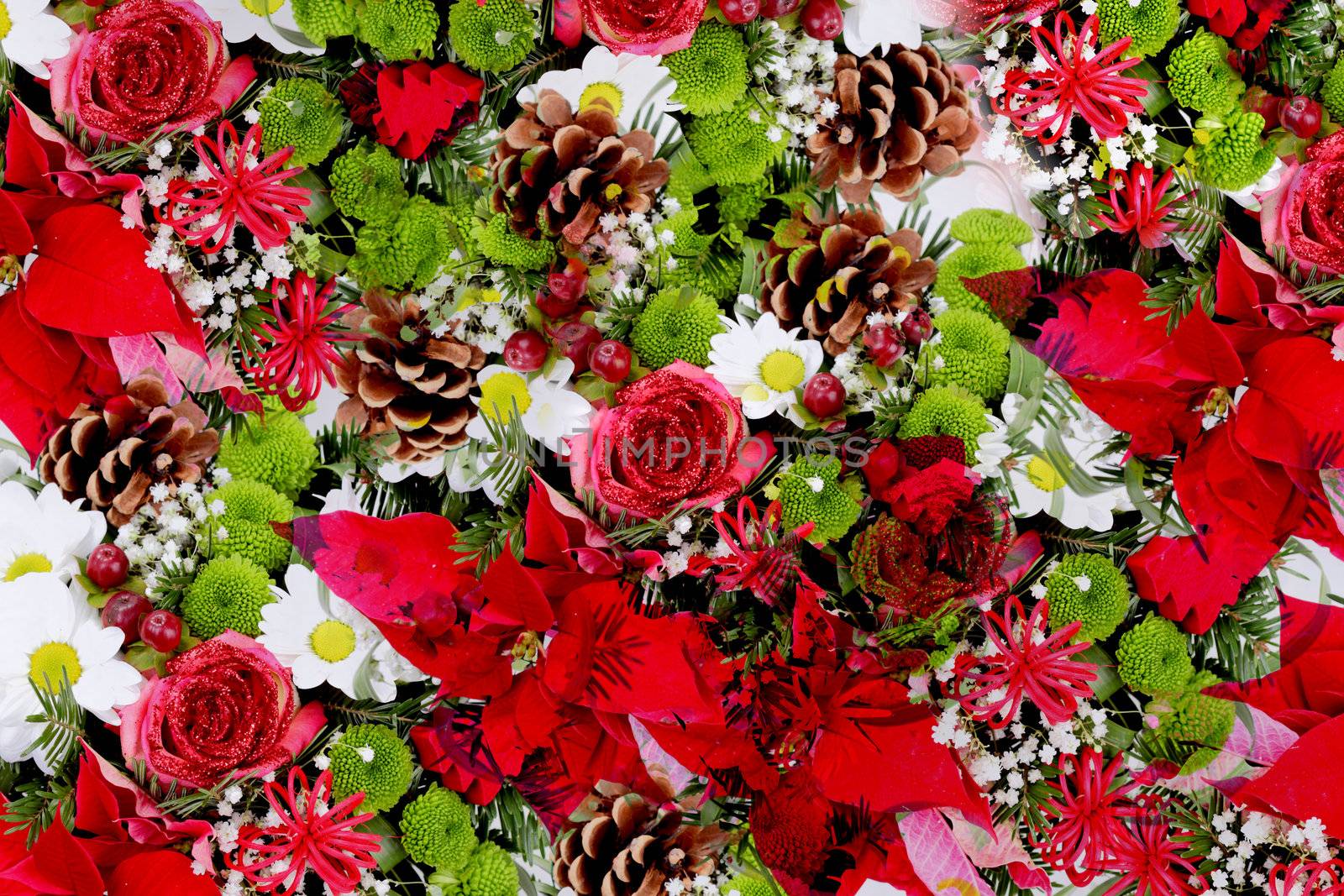 flowers and pine cones decoration, abstract background