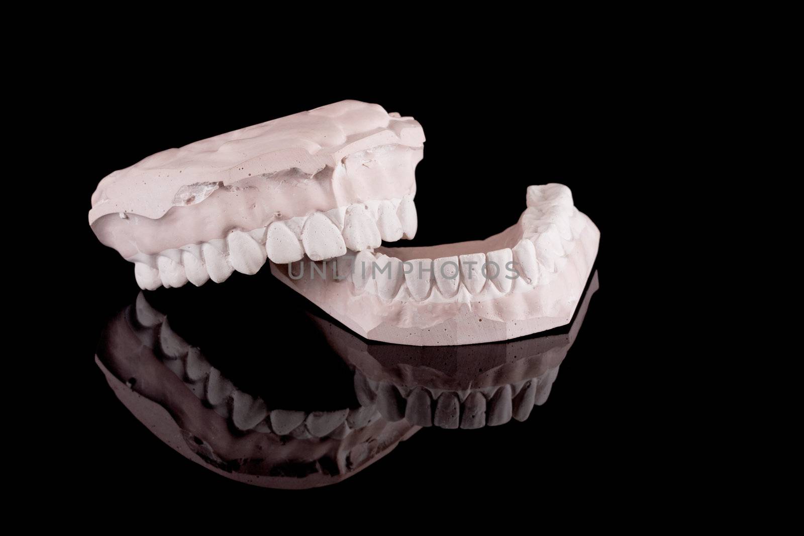 human teeth, model by kokimk