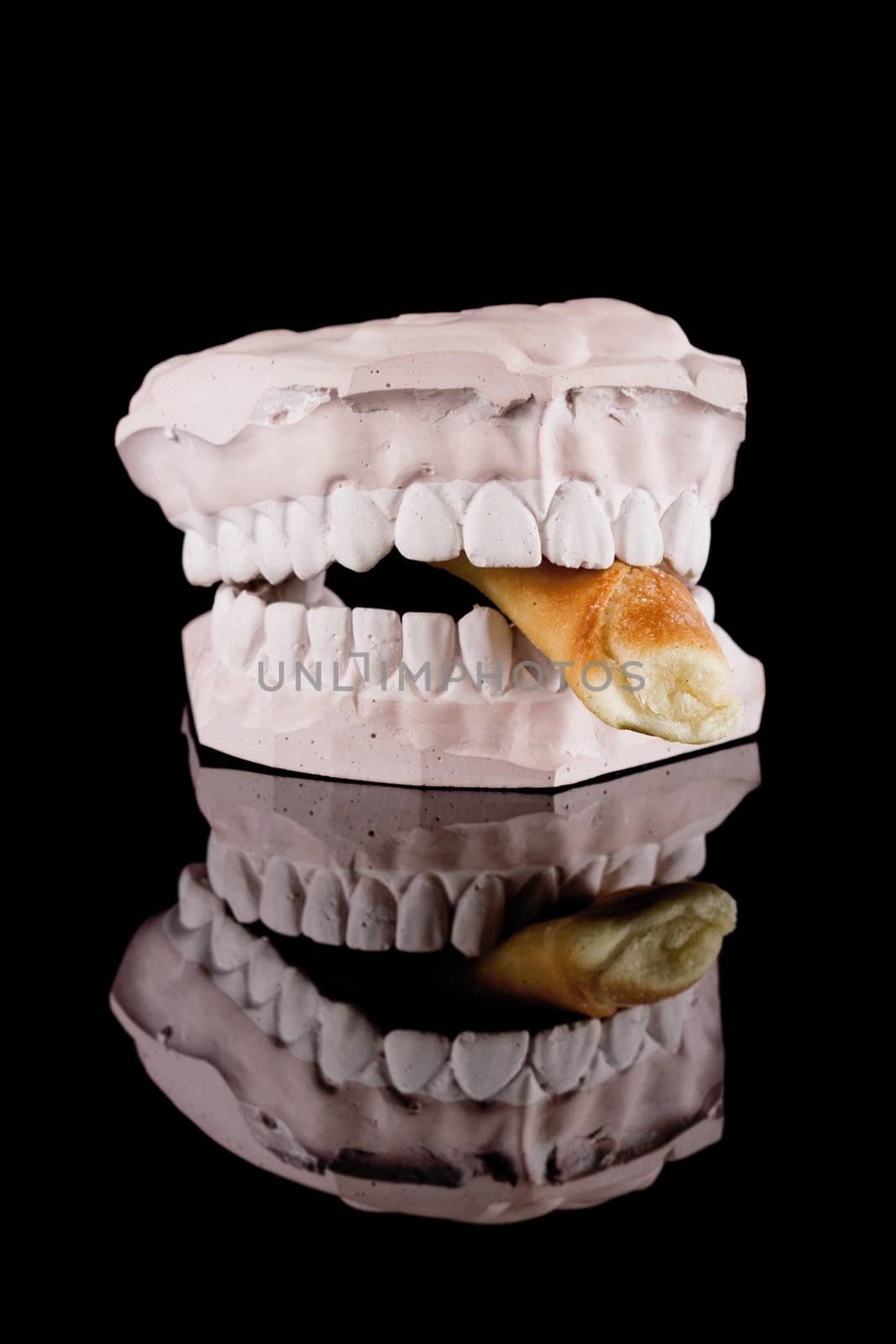 gypsum model of a human teeth with food