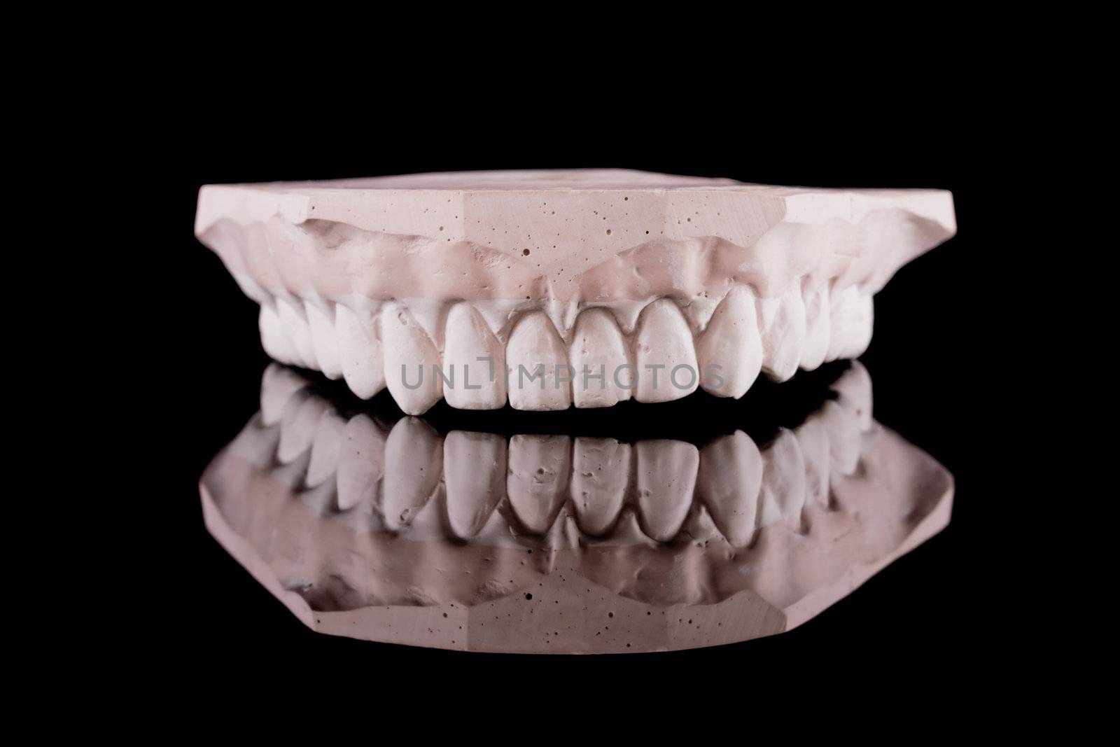 human teeth, model by kokimk