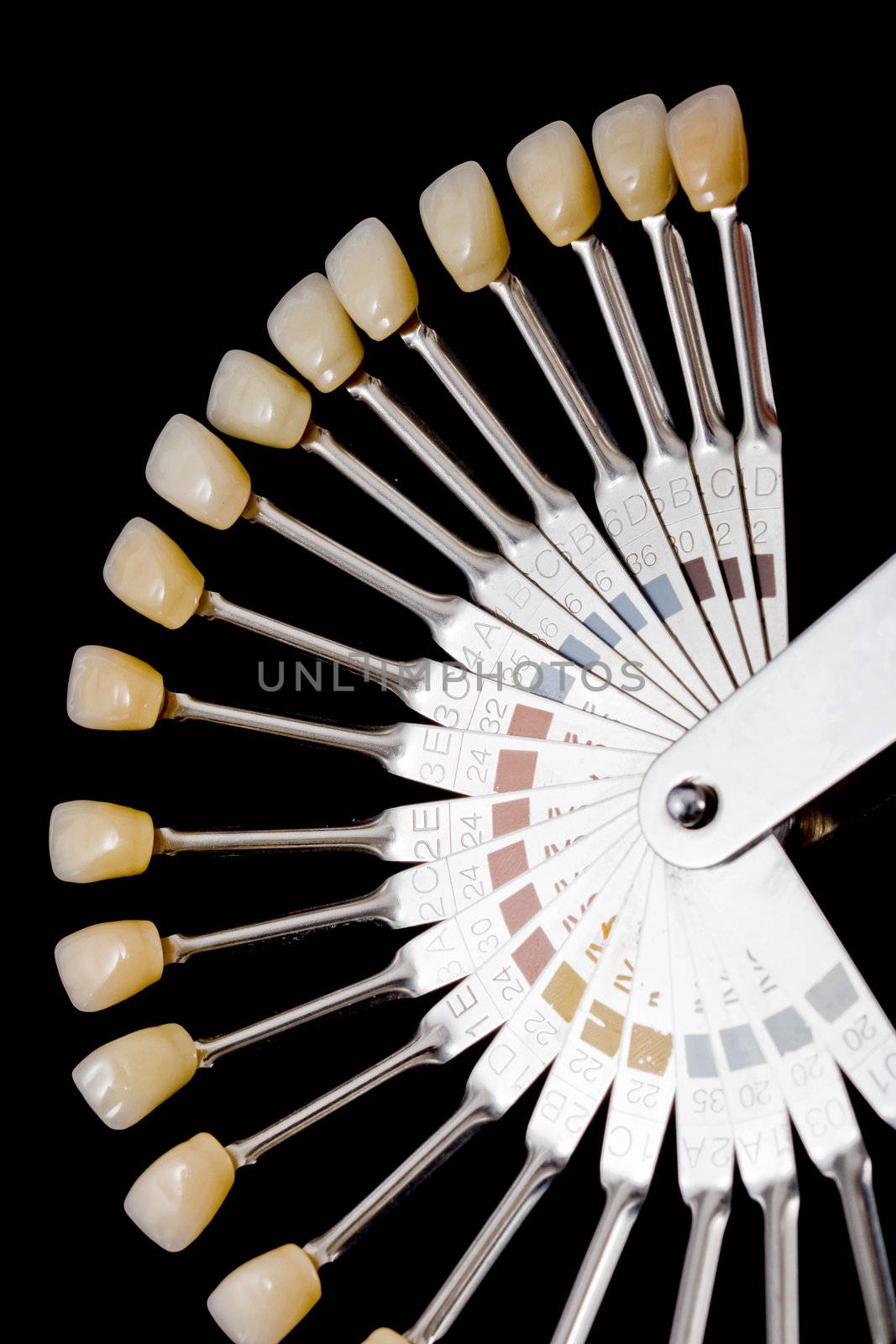 hand holding human teeth models, isolated on black