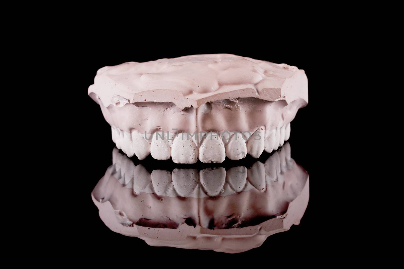 gypsum model of a human teeth on black background