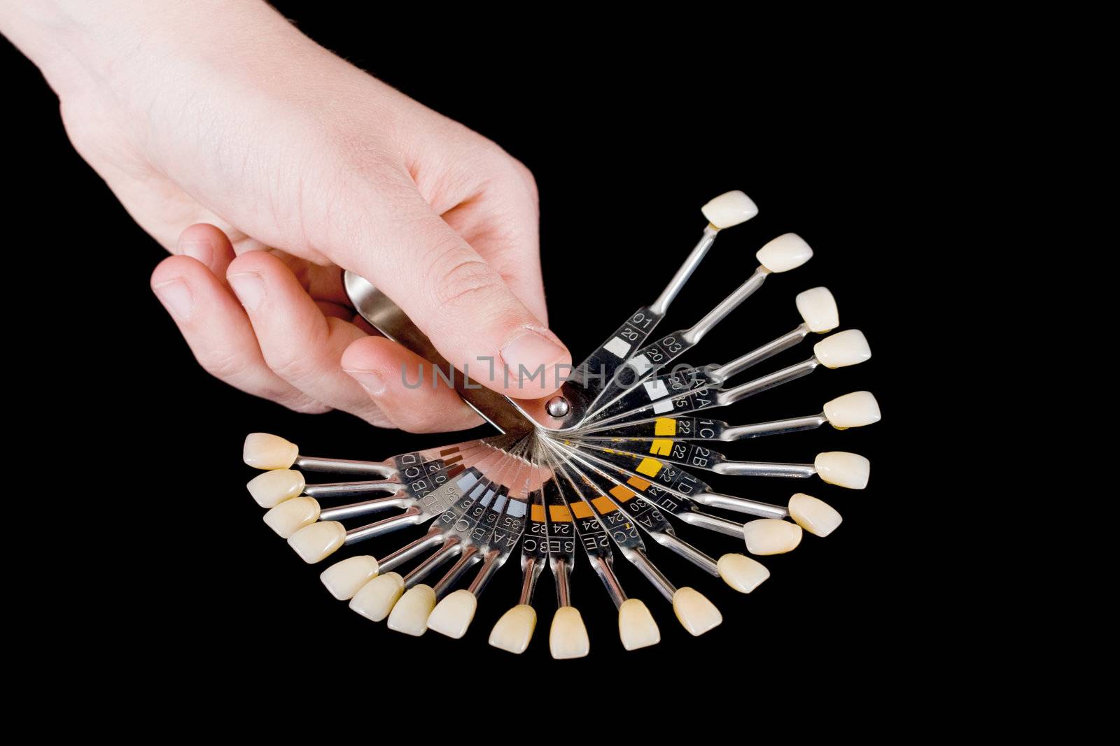 hand holding human teeth models, isolated on black