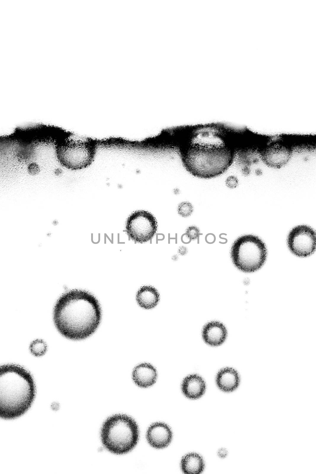 close up shot of air bubbles in a glass of water