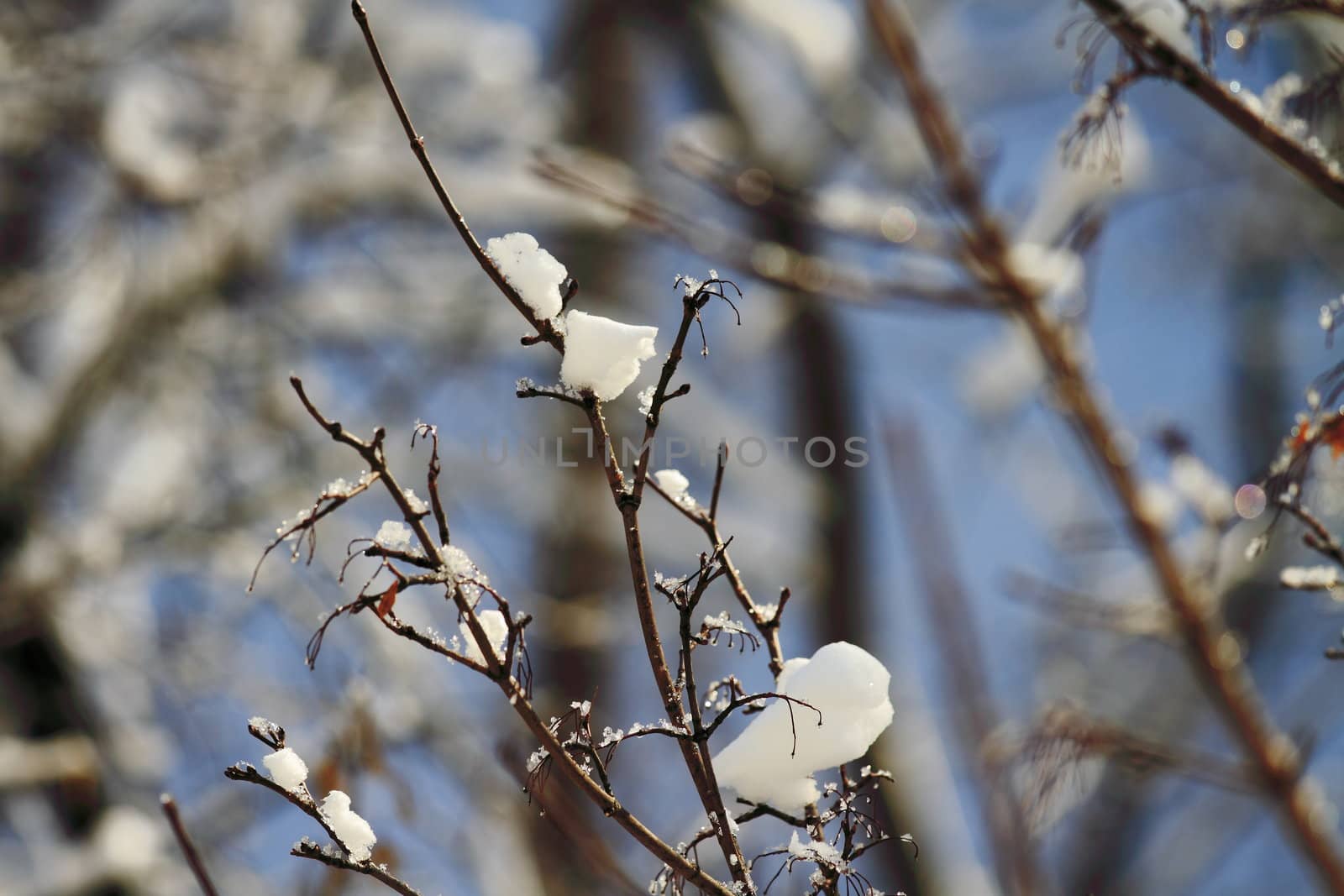 snowy landscape, winter in Russia