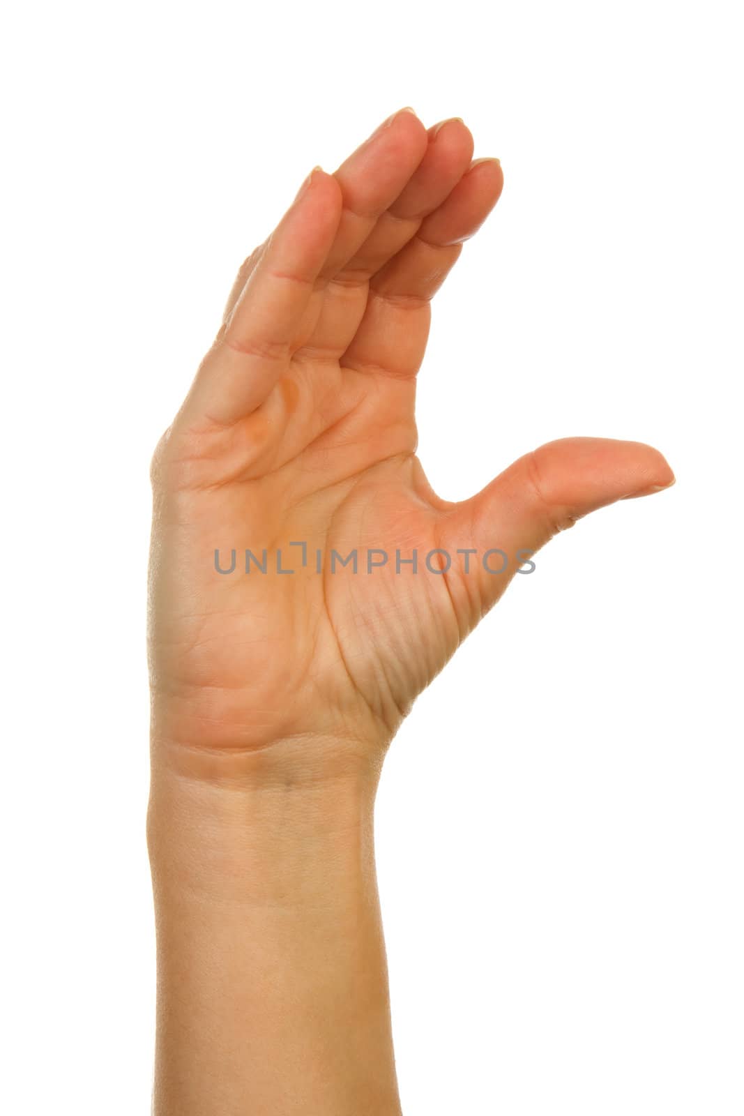 Finger spelling (hand alphabets) : Hand is spelling letter C over white background