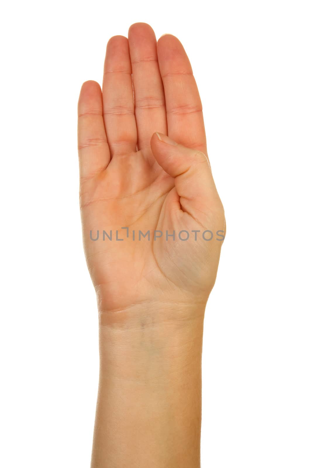 Finger spelling (hand alphabets) : Hand is spelling letter B over white background