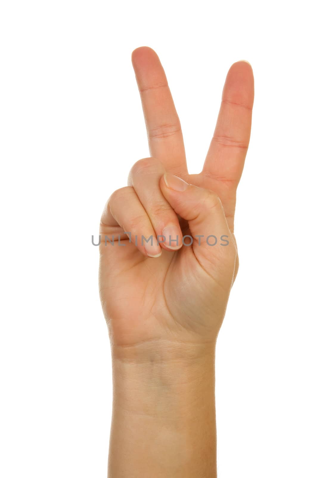 Finger spelling (hand alphabets) : Hand is spelling letter K over white background