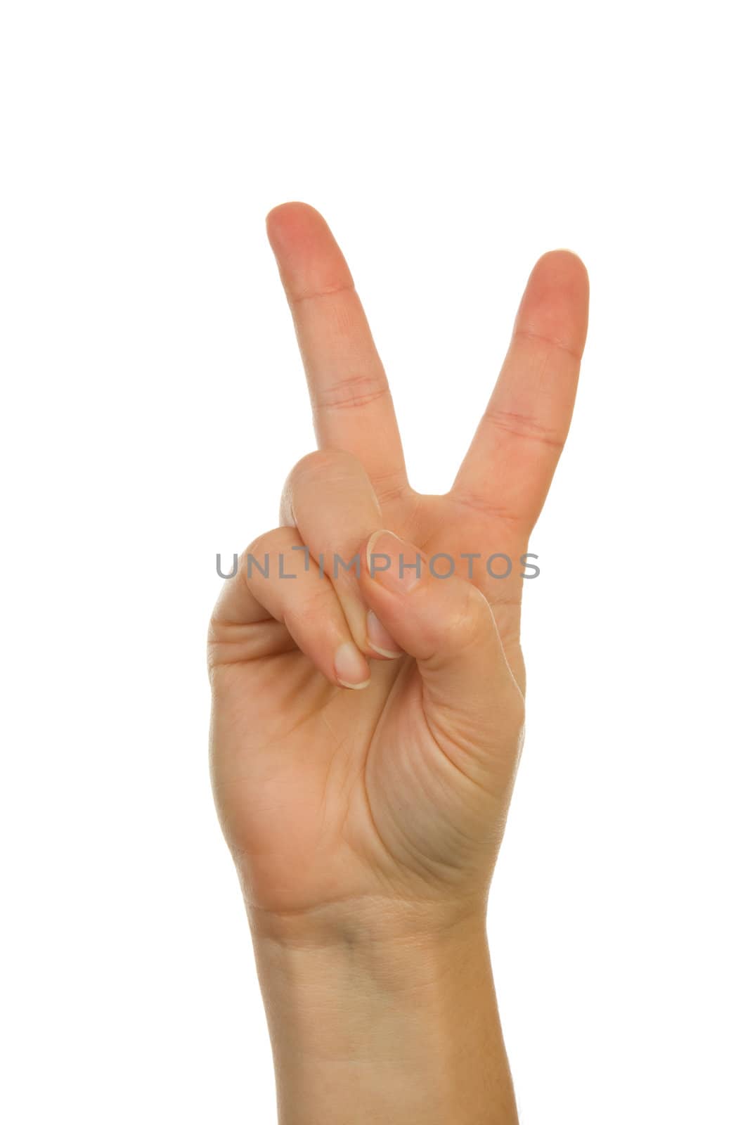 Finger spelling (hand alphabets) : Hand is spelling letter V over white background