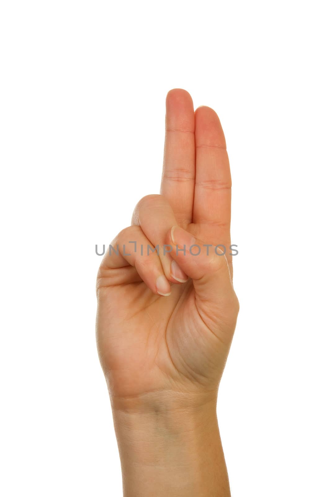 Finger spelling (hand alphabets) : Hand is spelling letter U over white background