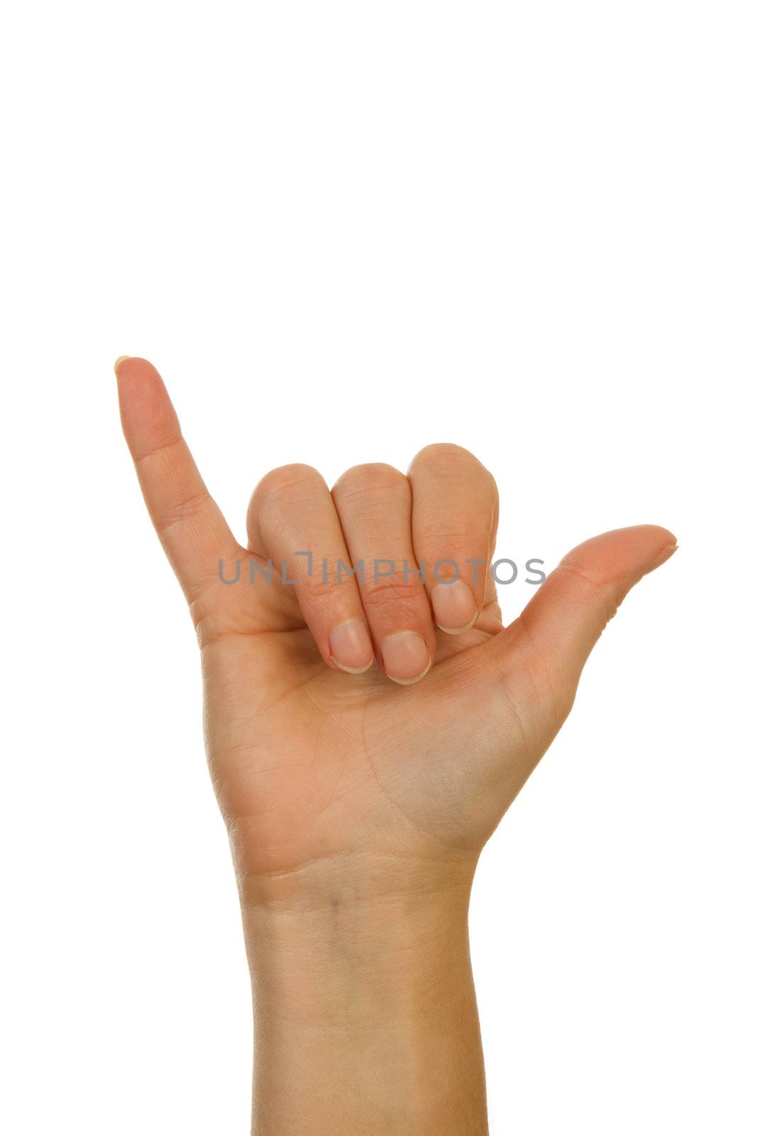 Finger spelling (hand alphabets) : Hand is spelling letter Y over white background