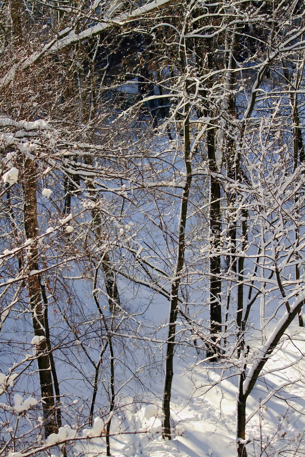 snowy landscape, winter in Russia