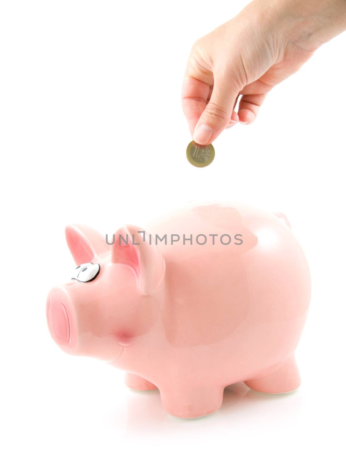 Hand is putting money into piggy bank, isolated on white background