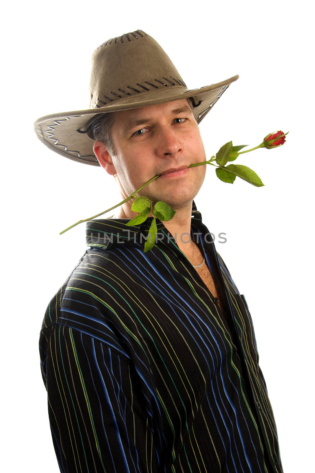 Cowboy in love with rose in his mouth looking in camera, isolated on white background