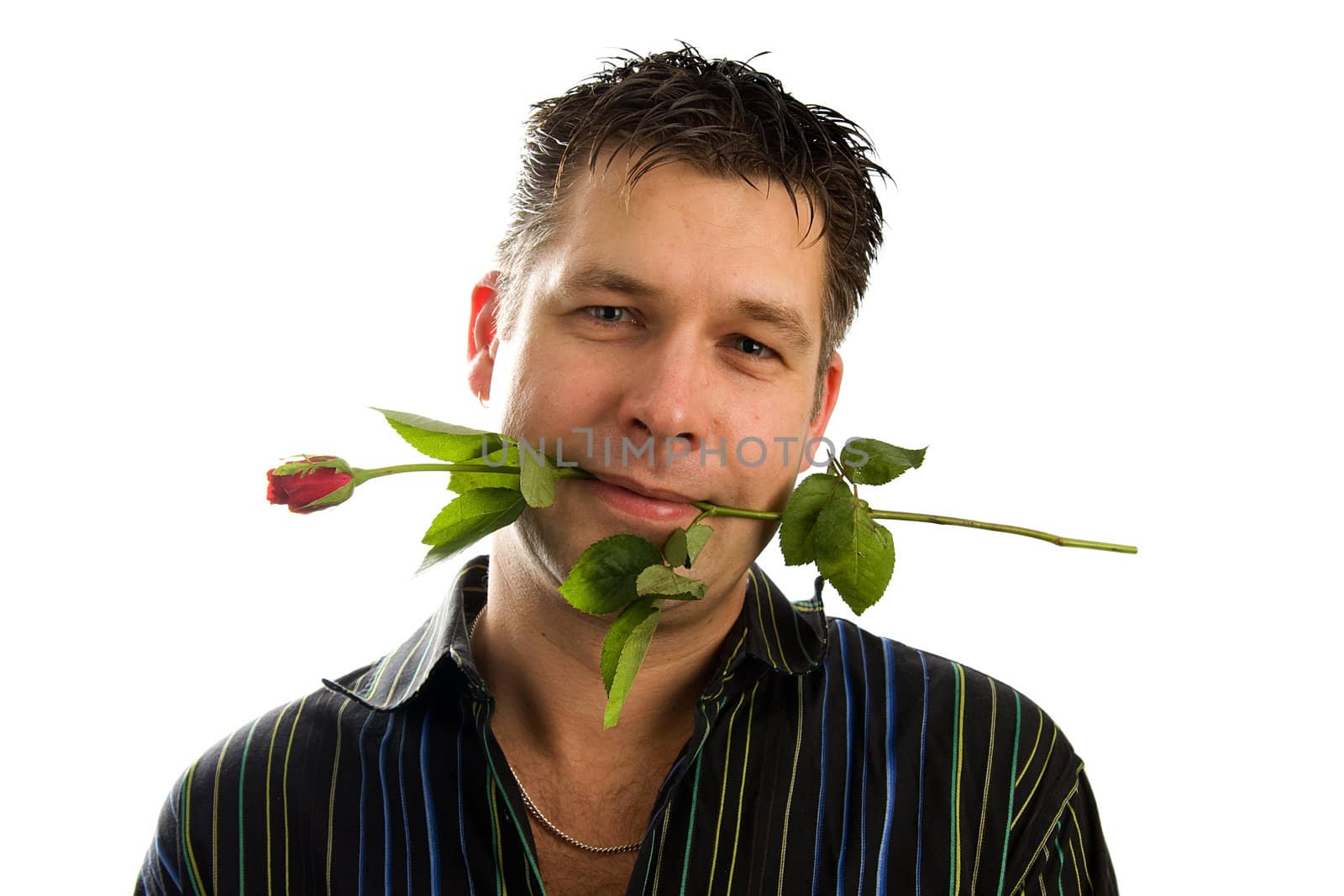Young man in love with rose in his mouth looking in camera, isolated on white background