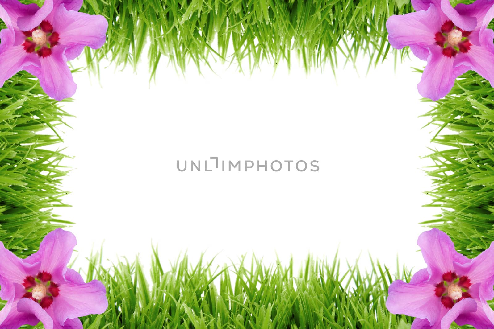 natural frame made out of grass with hibiscus flowers in the corner
