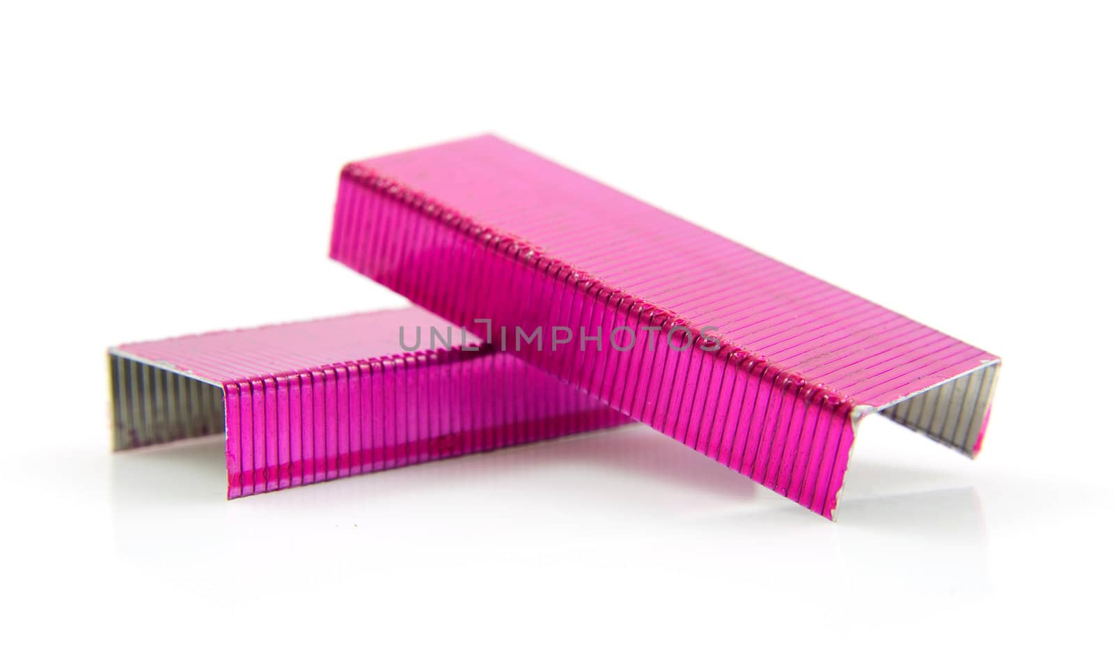 pink staples in closeup over white background