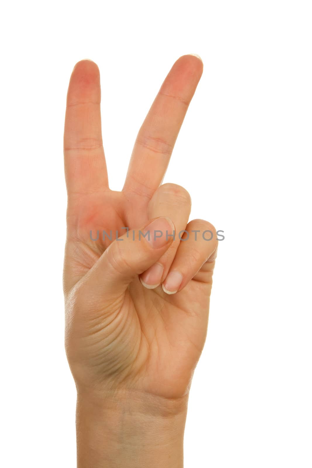 Woman's hand counting number 2 over white background