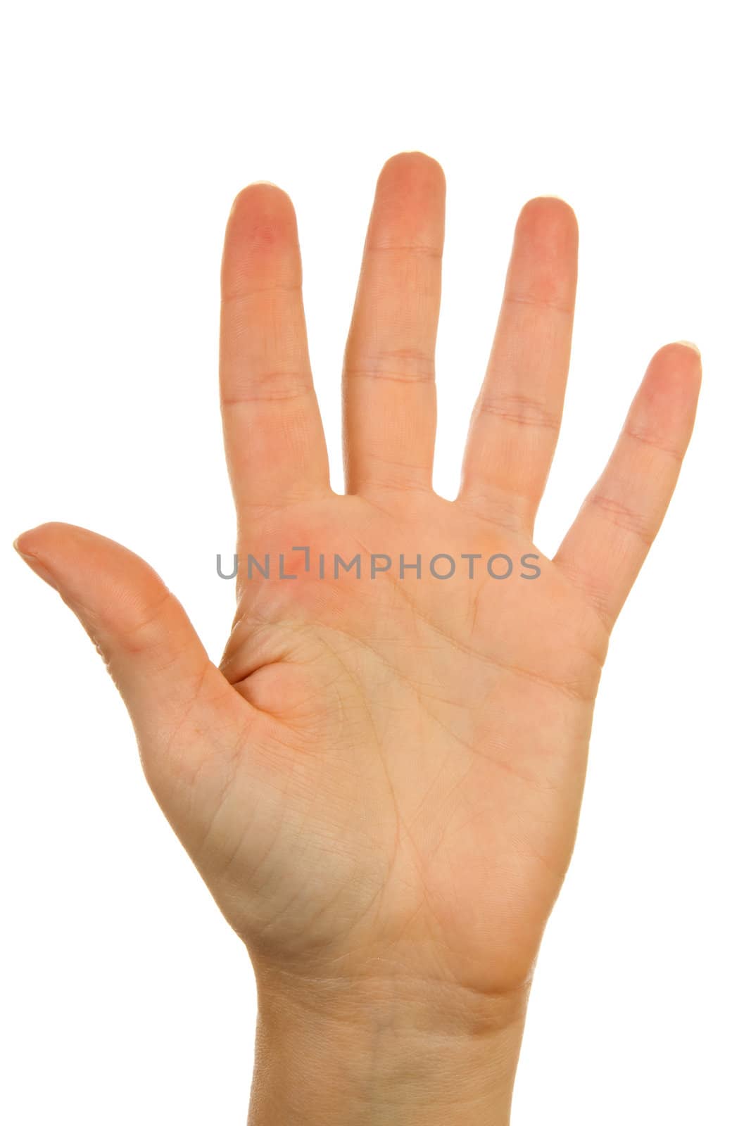 Woman's hand counting number 5 over white background