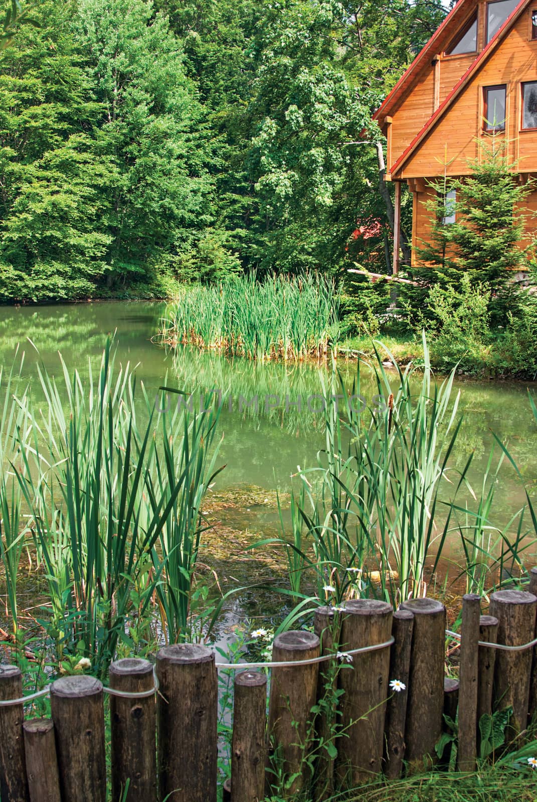 Beautiful wooden house on lake in wood