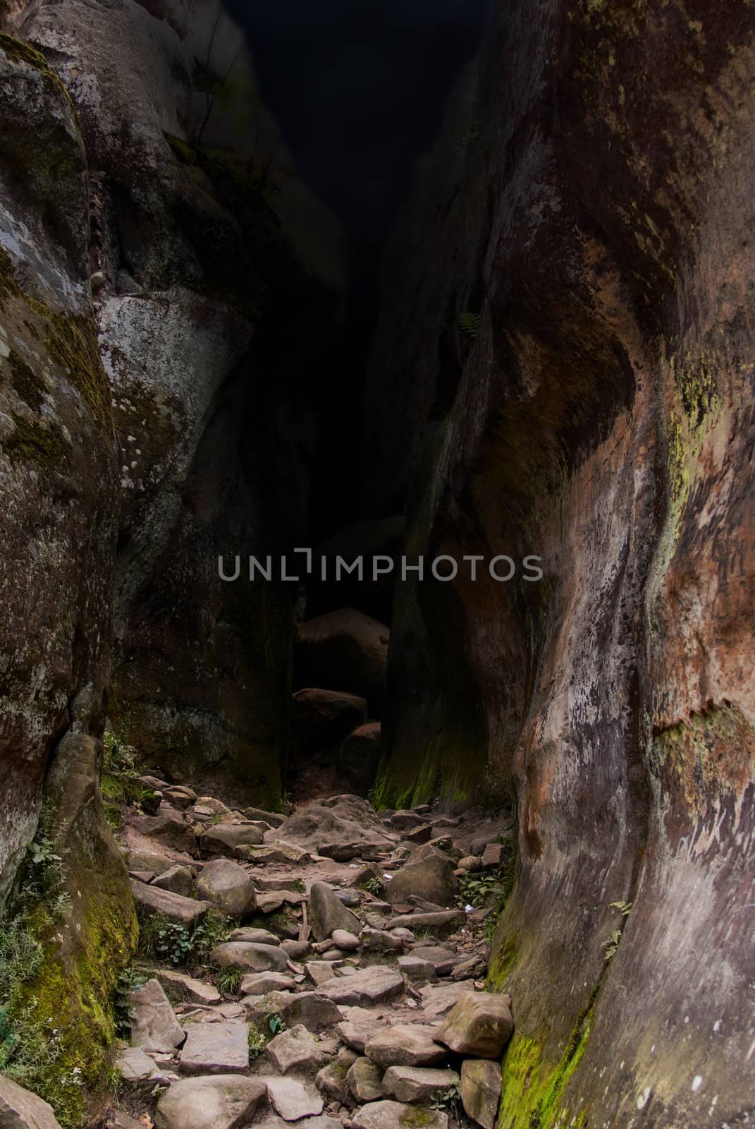 The path to the dark mysterious cave