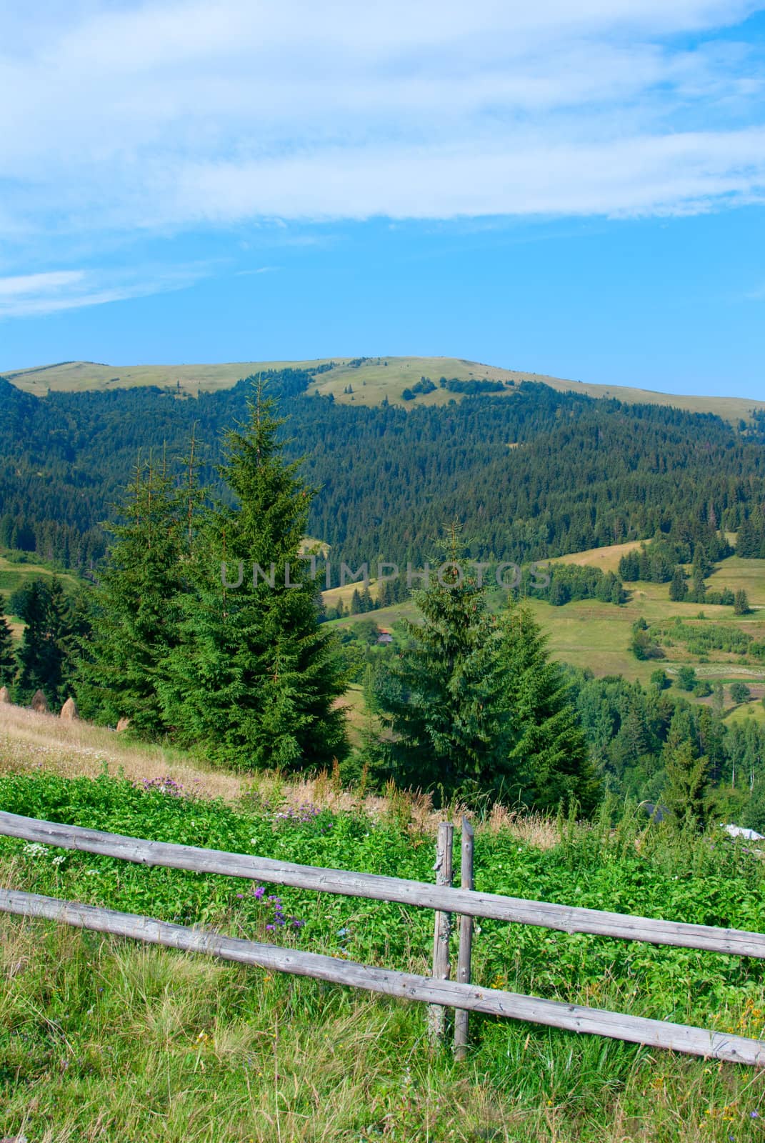 Carpathians Mountains by Zhukow