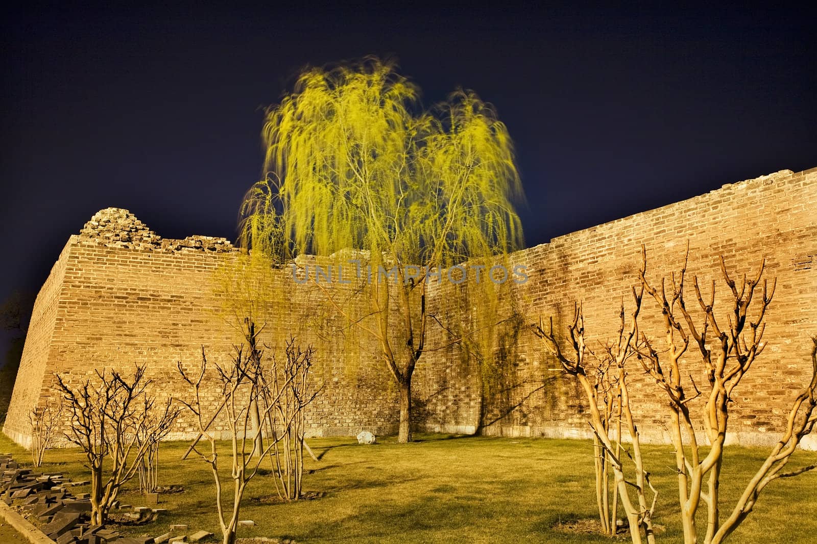 City Wall Park with Willow Tree Beijing China by bill_perry