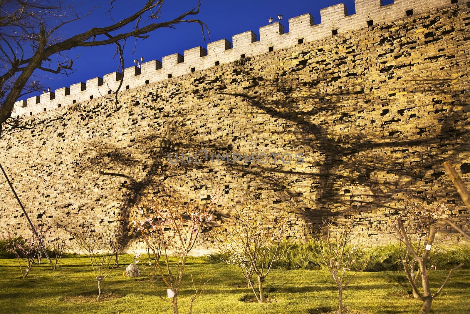 City Wall Park with Shadows Beijing China by bill_perry