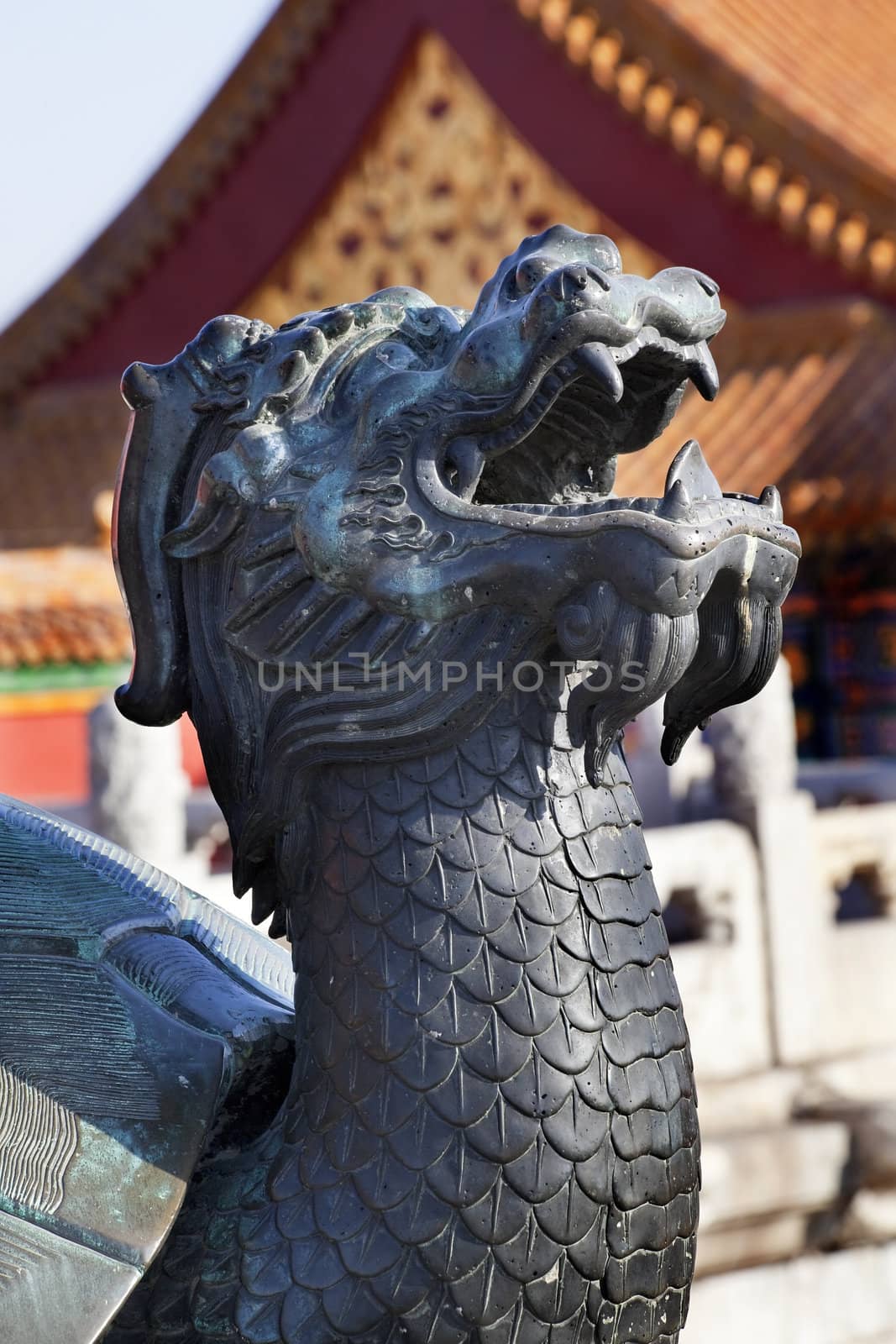 Dragon Tortise Bronze Statue  Gugong, Forbidden City Emperor's Palace Built in the 1400s in the Ming Dynasty

Resubmit--In response to comments from reviewer have further processed image to reduce noise, sharpen focus and adjust lighting.