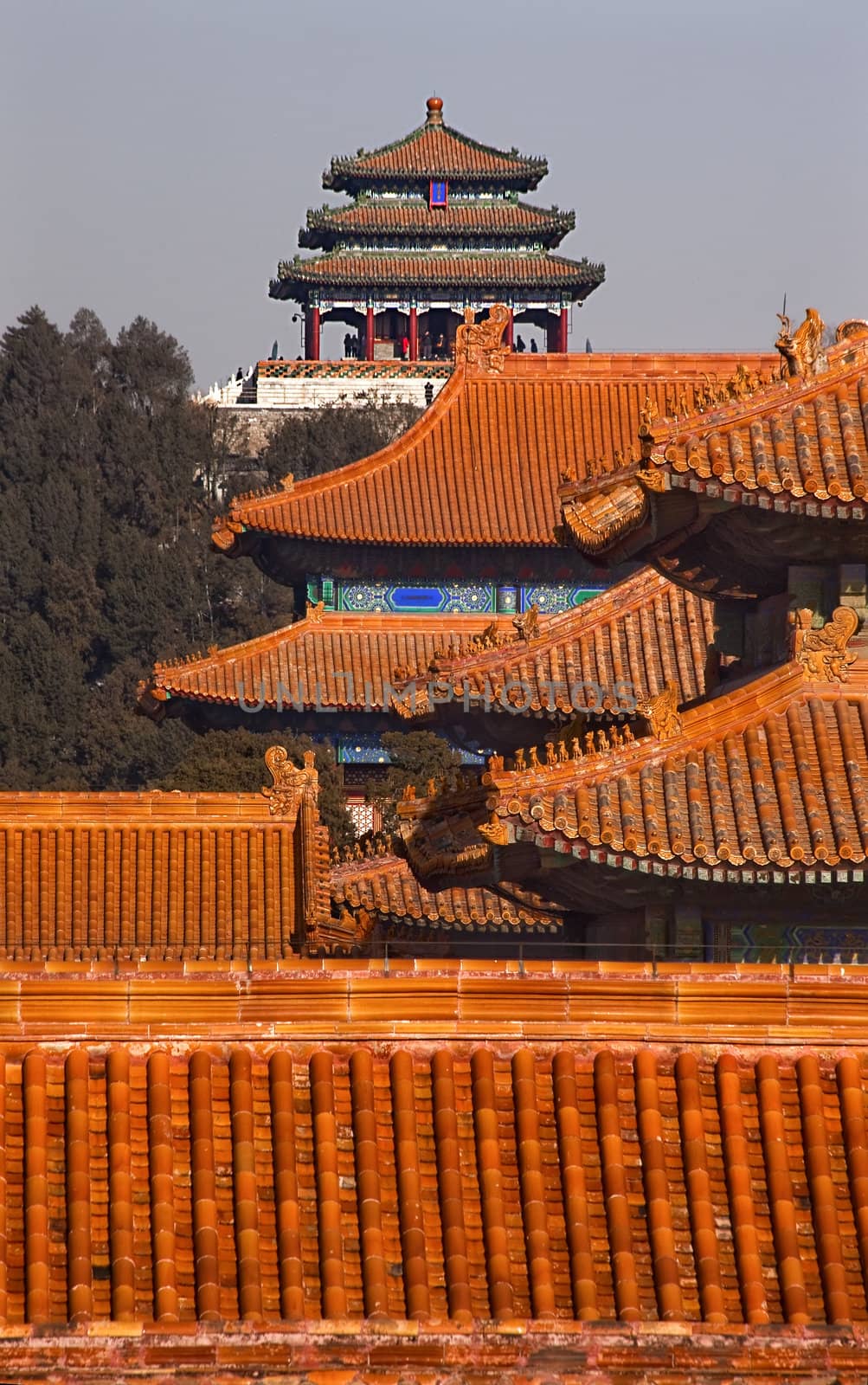 Jinshang Park from Forbidden City Yellow Roofs Gugong Palace Bei by bill_perry