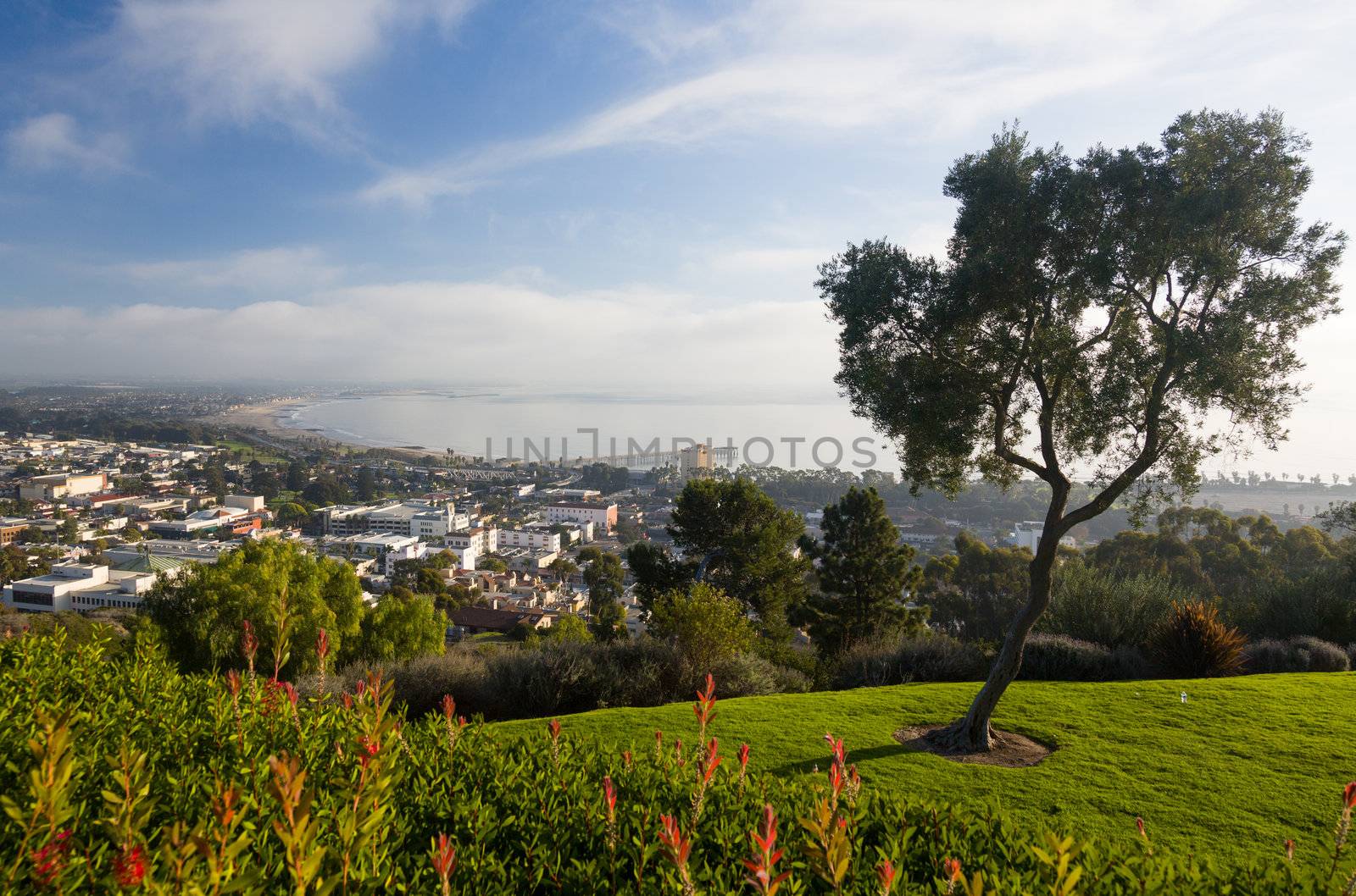 Overview panorama of Ventura California from Grant Park above city showing coastline