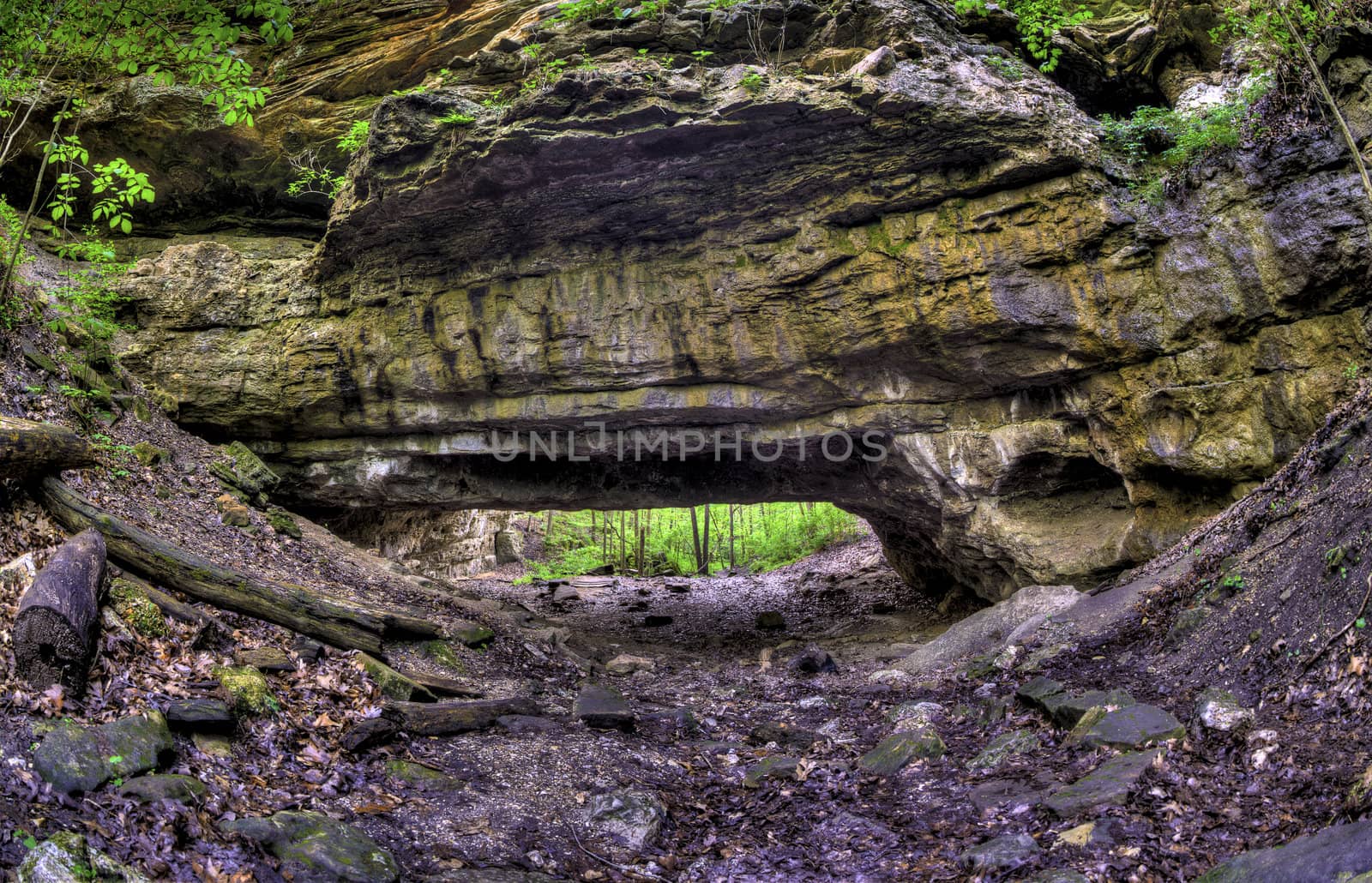 A wide angle shot of a natural rock bridge in a forest.
