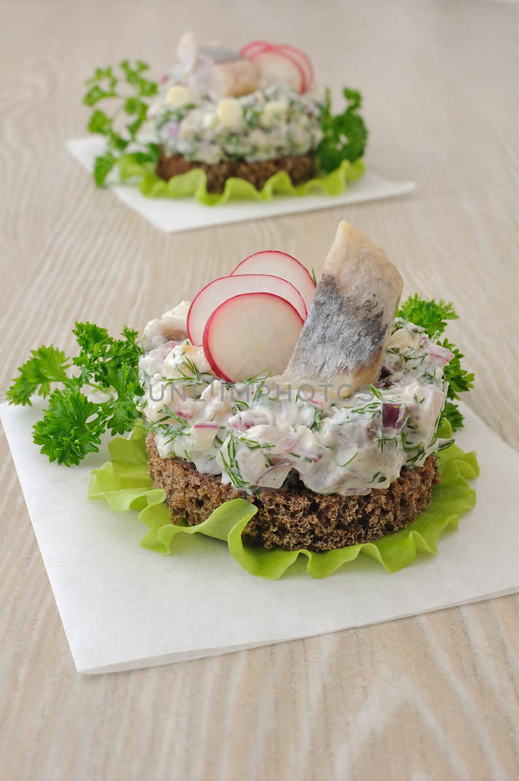 Appetizer of chopped herring, radish and apple and sour cream on a slice of rye bread