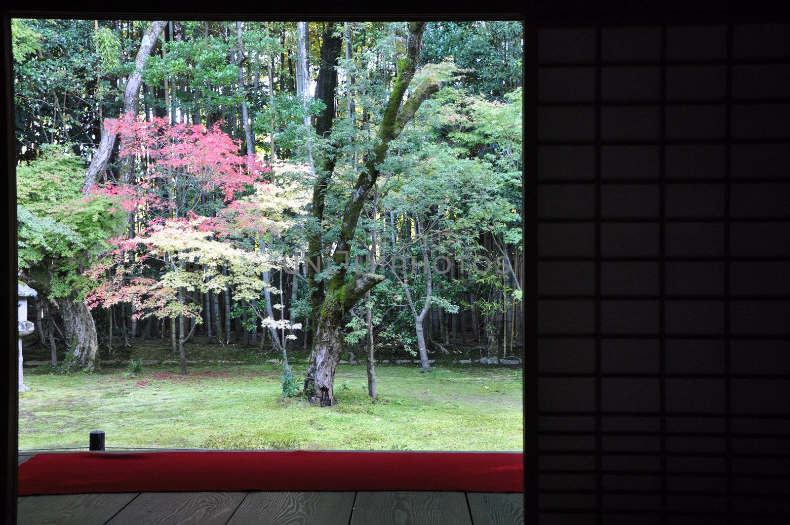 Japanese garden in the Koto-in a sub-temple of Daitoku-ji by siraanamwong