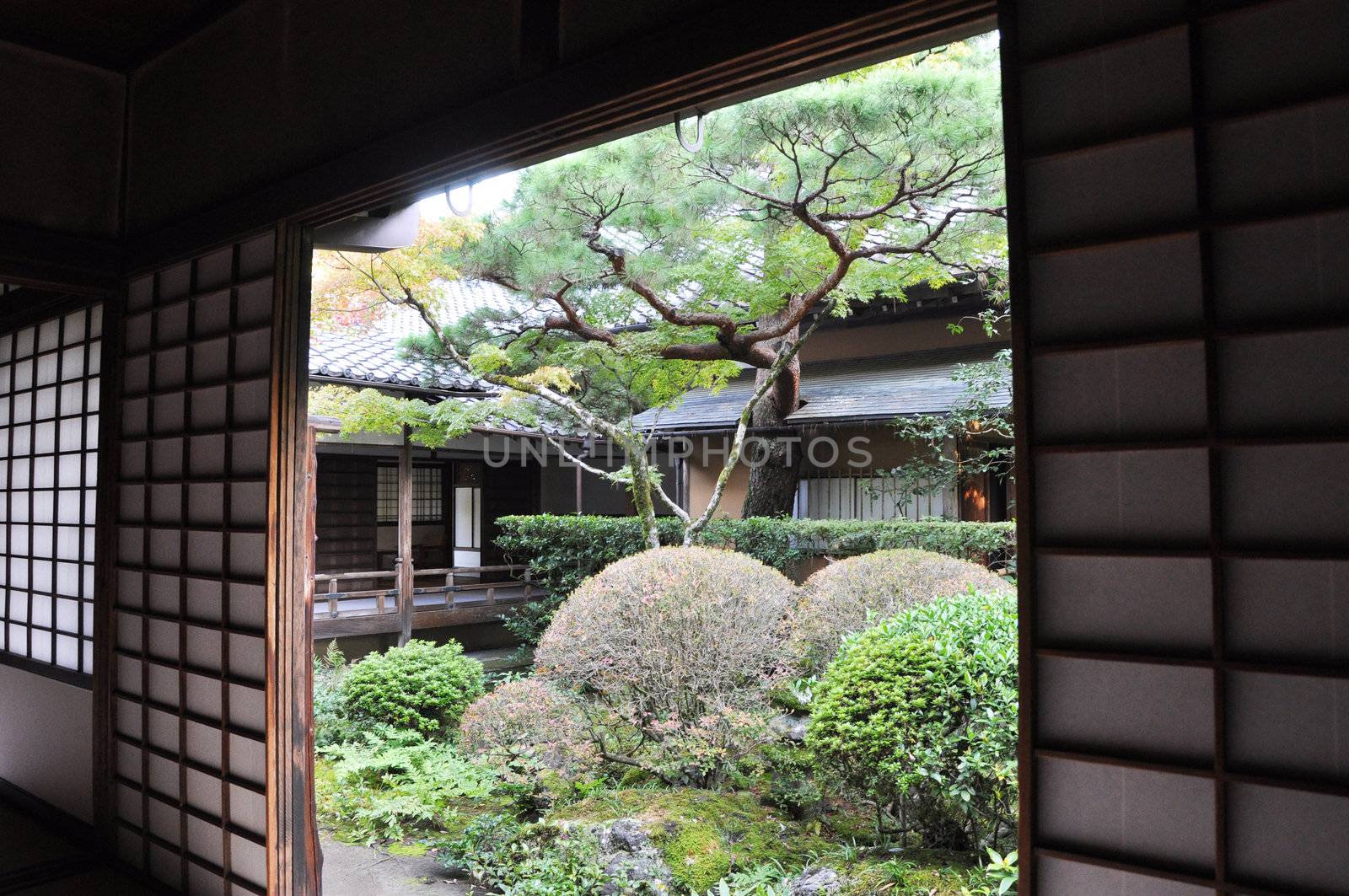 Japanese garden in the Koto-in a sub-temple of Daitoku-ji by siraanamwong