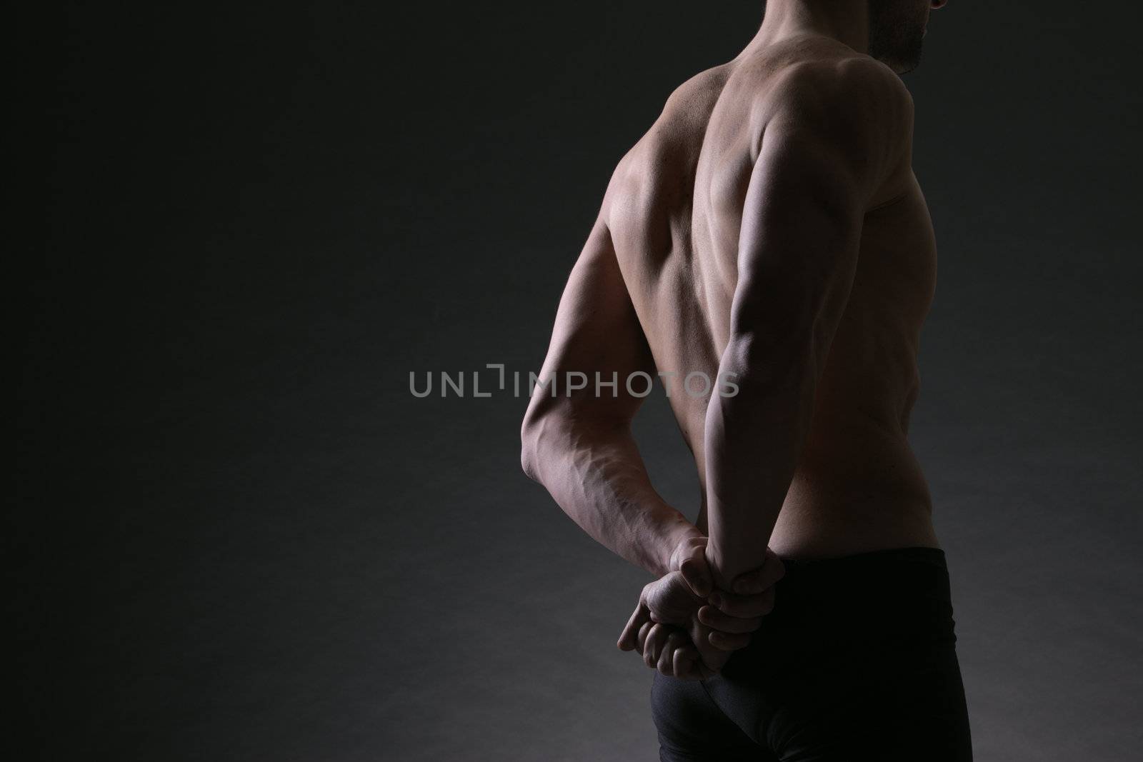 male bodybuilder model back portrait