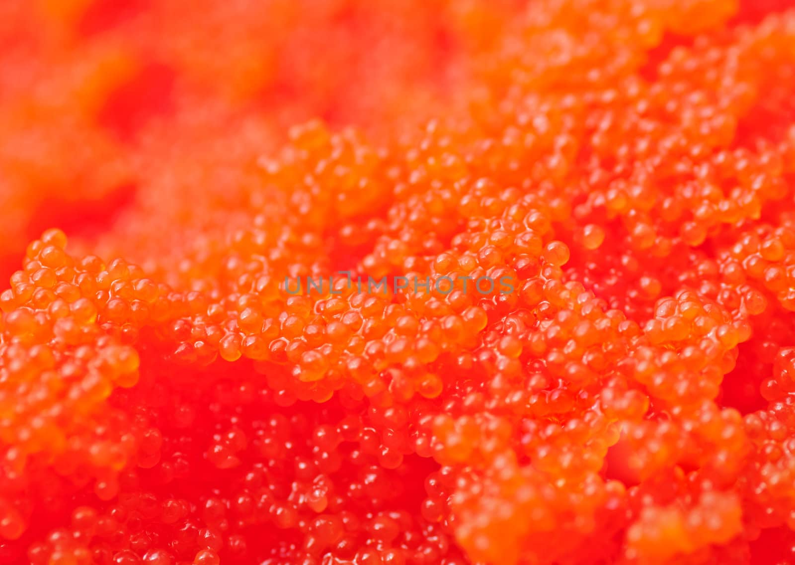 caviar red background, blured by Zhukow