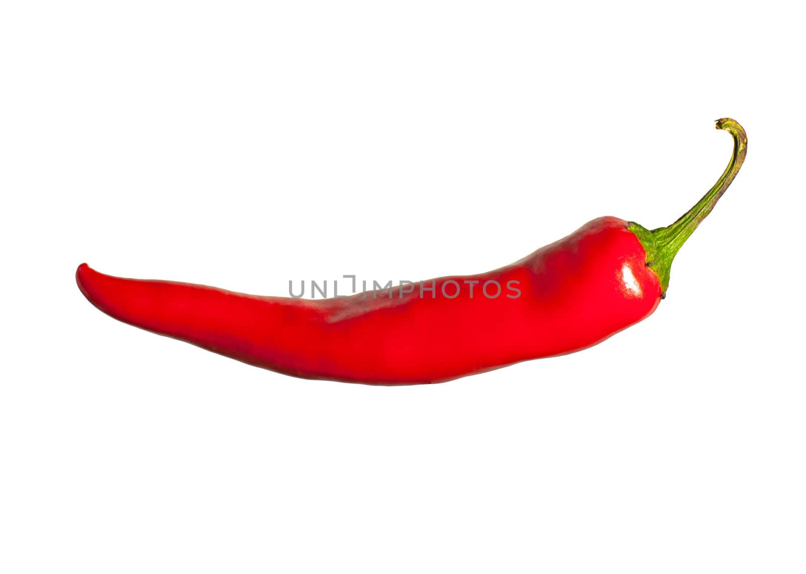 red hot chili pepper isolated on a white background