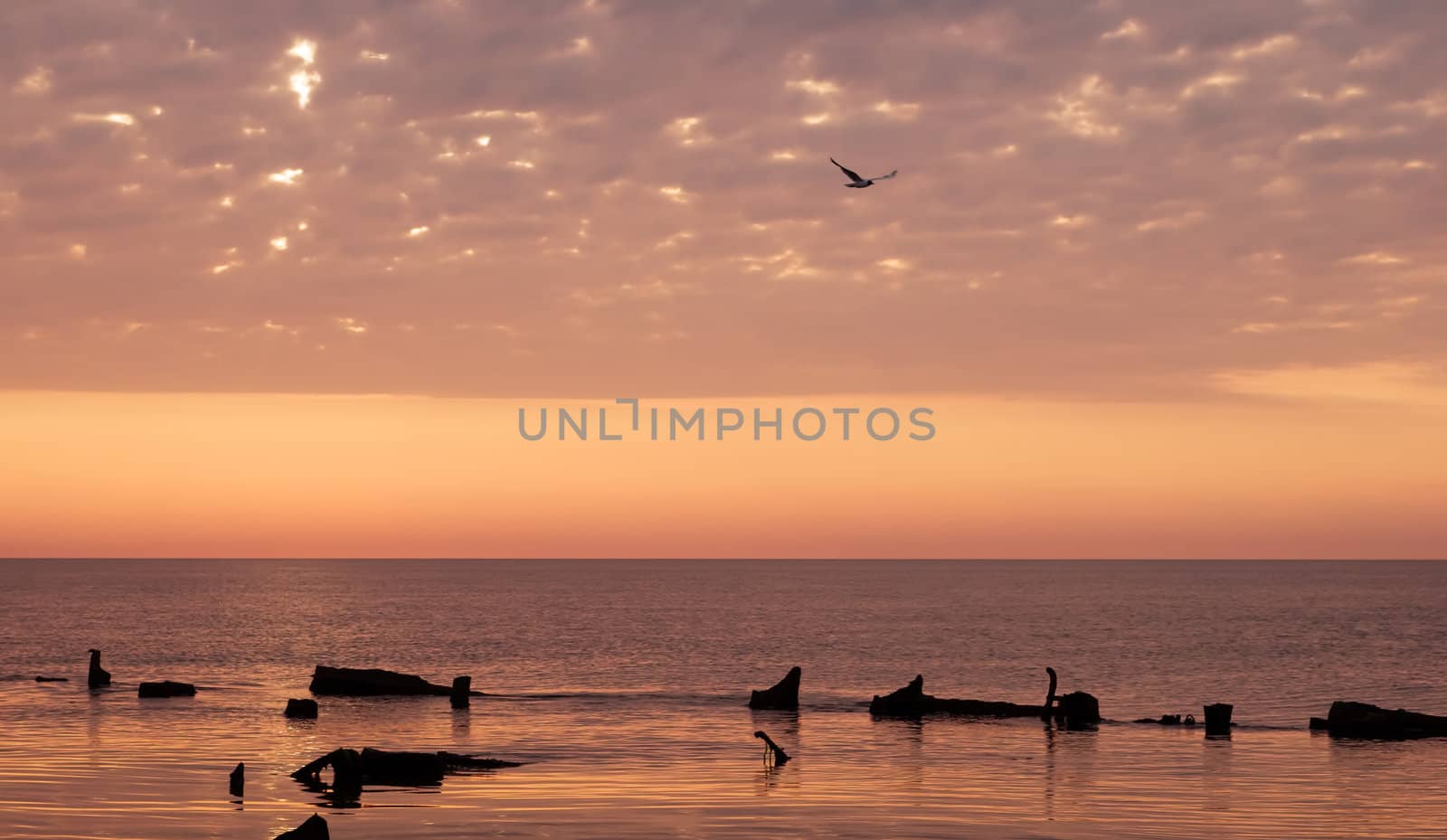 beauty landscape with sunrise over sea by Zhukow