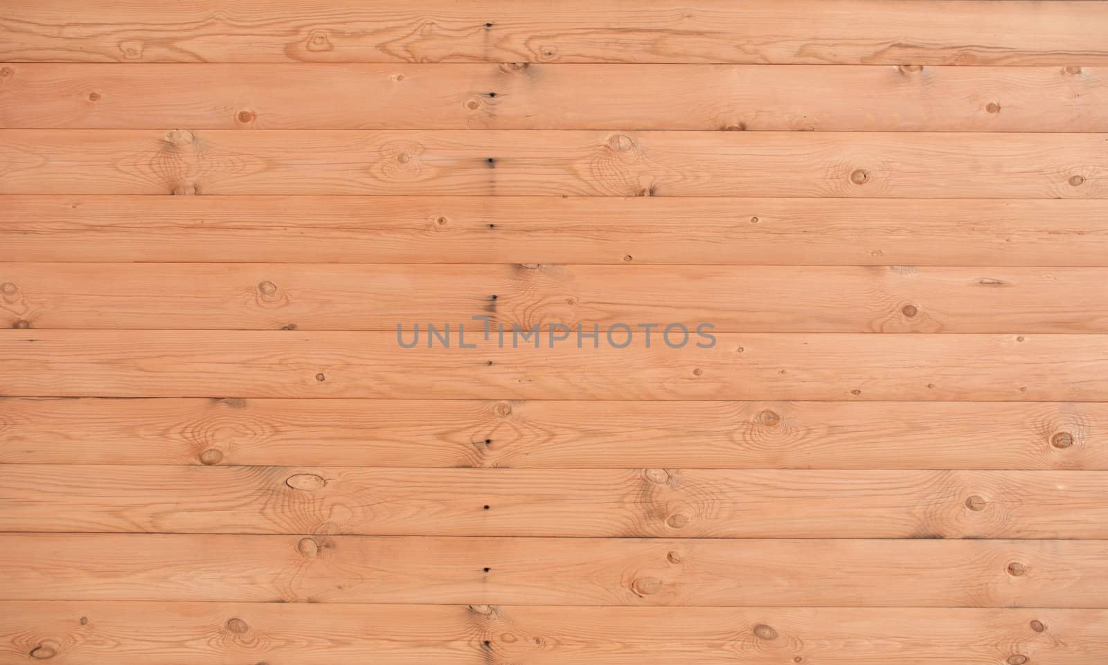 the old texture of wood background closeup