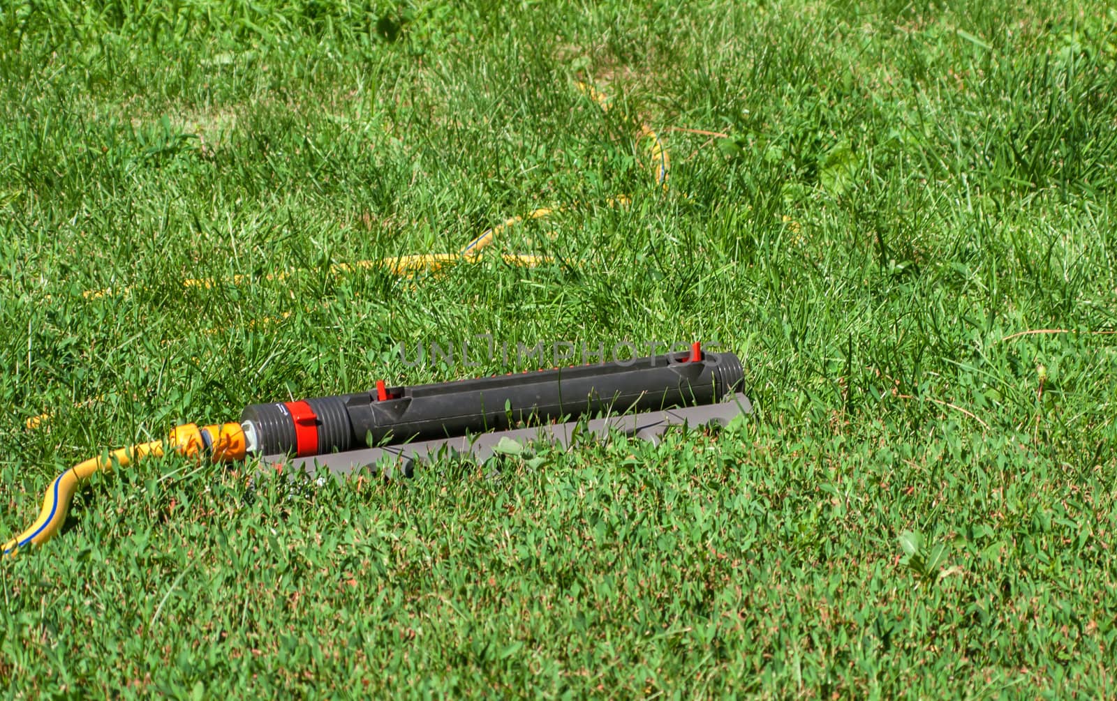 equipment to watering the garden against the backdrop of a flourishing lawn