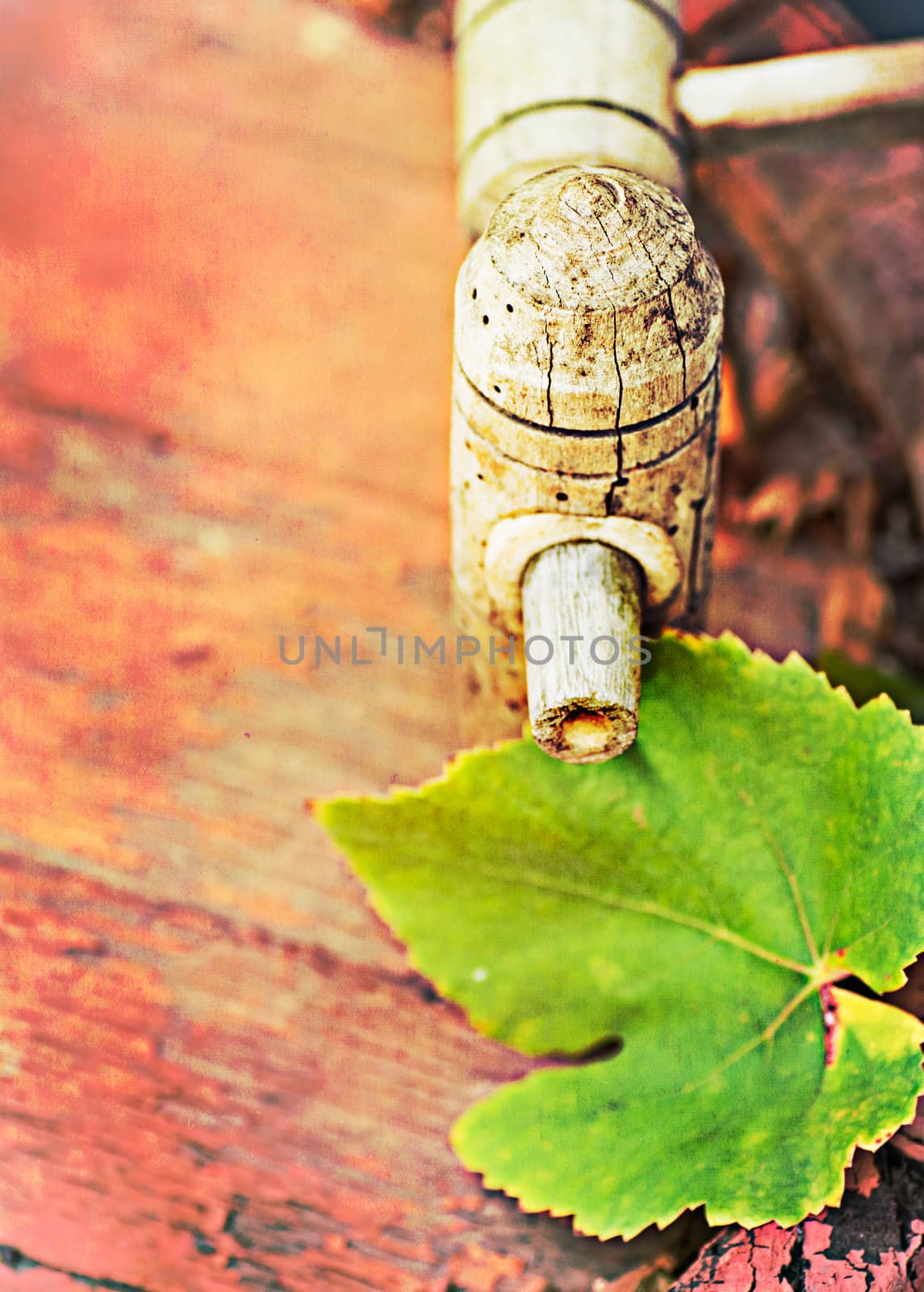  wine cask  and grapes leaf, retro colors, paper grain and texture