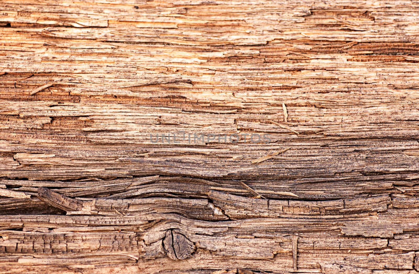 seamless texture of old wood with cracks by Zhukow