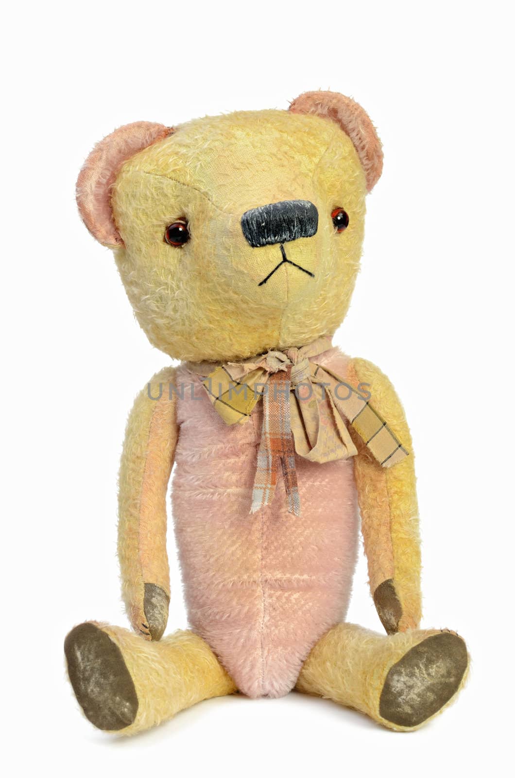 Teddy-Bear by styf22