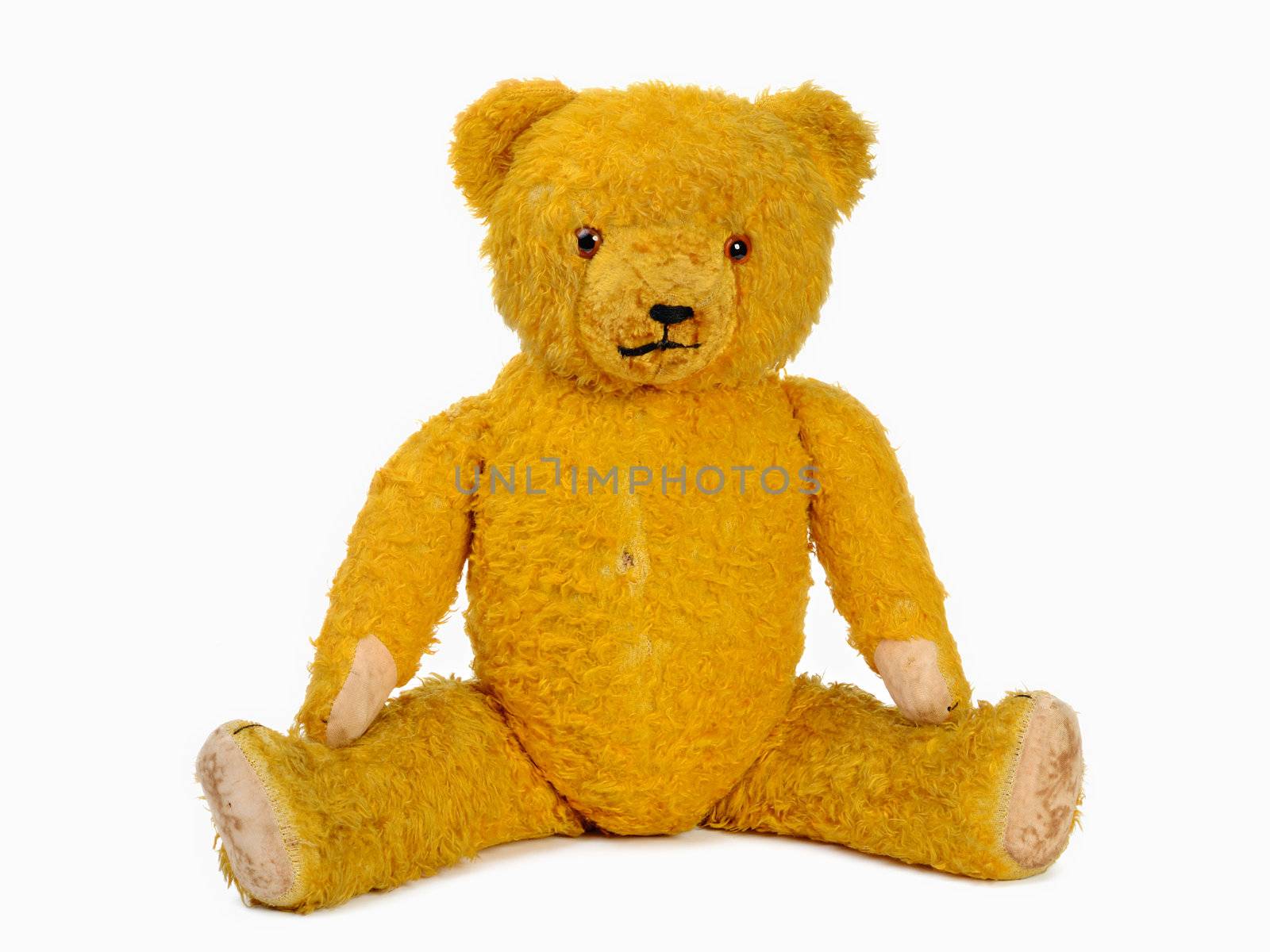 Classic teddy bear isolated on white background